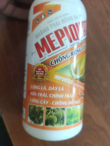 Chống rụng Tức Thì chống rụng hoa chống rụng trái non