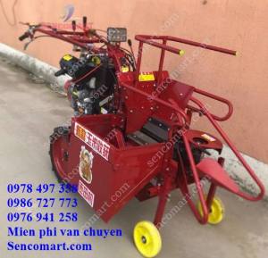 Máy bóc bắp ngô thu hoạch bắp ngô