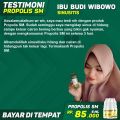 Obat Herbal Untuk Radang Sinus Akut, Sinusitis, Obat Alami Hidung Bau Busuk, Polip Hidung, Hidung Meler, Hidung Mampet, Indra Penciuman Hilang / Anosmia, Rhinitis, Septum Hematoma, Infeksi Saluran Pernapasan, Radang Hidung Untuk Anak & Dewasa Propolis SM. 