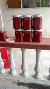 NGHỆ ĐỎ VÔ GÀ KEO 0.5KG