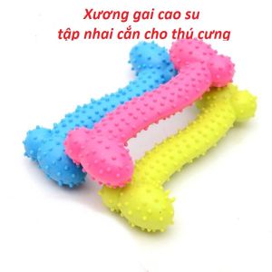 Đồ chơi chó mèo - xương gai đặc chữ Z cho thú cưng- tập cắn nhai đỡ ngứa răng xã stress