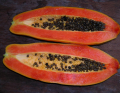 " Gói 120 "Hạt Giống Đu Đủ Lùn Cao Sản Phuket Thái Lan Siêu Ngọt [Seeds]. 