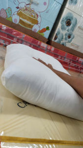 Ruột Gối Nằm Gòn Cao Cấp 40 x 60 50 x 70