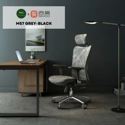 SIHOO M57 All Mesh Ergonomic Office Computer Gaming Chair with 2 Year Warranty | Adjustable Height 2D Headrest 2D Lumbar Support 3D Armrests 3 Tilt-Lock Recline | Office Furniture | Sihoo Official