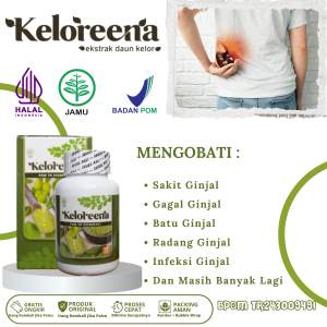 Obat Sakit Ginjal Obat Radang Ginjal Obat Batu Ginjal Obat Ginjal Rusak Obat Gagal Ginjal Obat Ginjal Bengkak Bocor Obat Penyakit Ginjal Kronis Obat Kista Ginjal Obat Infeksi Pada Pada Ginjal Obat Kanker Ginjal Dengan Keloreena