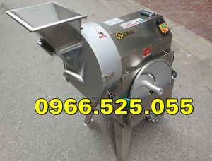 Máy thái cà rốt củ cải măng dứa dưa... dạng lát sợi hạt lựu công nghiệp với năng suất 500 kg/h BH 12 THÁNG