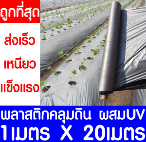 *ค่าส่งถูก* พลาสติกคลุมดิน 1ม.x20ม. พลาสติกคลุมแปลง พลาสติกดำ/เงิน พลาสติกกันวัชพืช กันวัชพืช ปลูกผัก ปลูกผลไม้ เกรดA ผสมUV (ไม่เจาะรู)