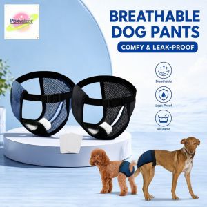 Breathable Mesh Reusable Female Dog Physiological Pants Anti Harassment Pet Shorts With 3 Cotton Pads Multiple Sizes