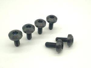 6pcs/12pcs Vitaltitanium Titanium Bolt M6 x 15/20/25mm Umbrella Head Inner Hexagon Allen Head Motorcycle Disc Brake Disc Engine Decoration Titanium screw Ti bolt Titanium Dress Up Bolts Engin Bay Wide body 6pieces / 12pieces Rainbow Black Ti raw colors