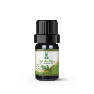 Tinh dầu hương gỗ thông nguyên chất 5m/10ml tinh dầu thơm phòng treo xe hương gỗ thông như mùi đà lạt