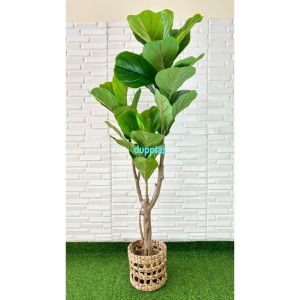 Pohon Hias Tanaman Artificial Ketapang X3 T150 Latex Cover Pot Eceng Gondok Motif Pajangan Ruang Tamu Dekorasi Rumah