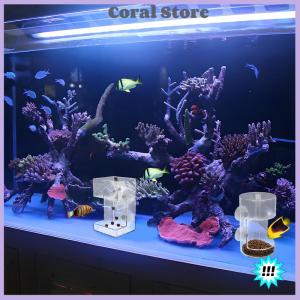 【Coral】💖【HOT SALE】🎈🎈 Cá trung chuyển cho 2025 hồ cá mới bể cá khay món ăn với cốc hút Acrylic cá ăn ống cá thực phẩm chủ