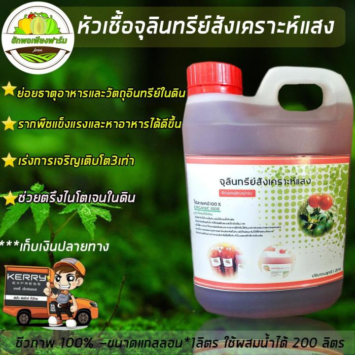 ฮักพอเพียงฟาร์ม จุลินทรีย์สังเคราะห์แสง ปุ๋ยชีวภาพ ออร์แกนิก