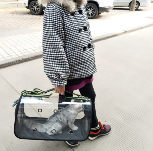 Túi vận chuyển Chó Mèo Chim Vẹt bằng nhựa trong suốt (mẫu mới) - Hara Pet Store