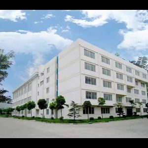 Degree Student Clothes Wholesale Graduation Dress College Student Female College Style Literary Master Gown of Doctor Degree Hat Robe