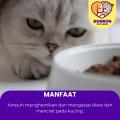 Obat Diare Primacat Drop Obat Kucing Anti Diare Mencret Cat Kitten PRIMA CAT. 