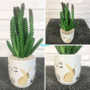 Tanaman Artificial Pohon Hias Kaktus & Sukulen Mini Pot Gelas Keramik Motif Dekorasi Meja Kantor