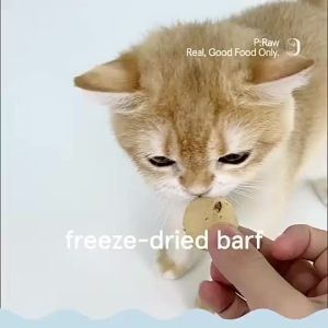 Paw-cipes Freeze Dried BARF Pie Formula P:Raw Premium Pawcipes Cat/Dog Food