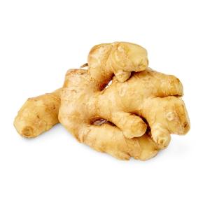 Young Ginger