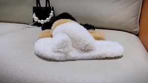[Free Shipping] New Style Platform Thick-Soled Cross-Strap Slippers For Women Autumn And Winter Outdoor Wear Height-Increasing Soft-Soled Home And Outdoor Cotton Slippers