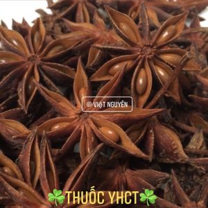 Hoa hồi khô ( hoa hồi lạng sơn  hồi nở đẹp ) gia vị bếp loại 1 Việt Nguyên