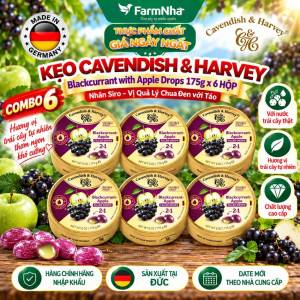 (Combo 6) Kẹo trái cây Cavendish & Harvey vị BLACKCURRANT WITH APPLE FILLING 175gr Nhân Siro