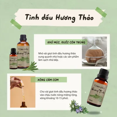 Tinh dầu Hương Thảo (Rosemary) Thảo Mộc nguyên chất 100% từ thiên nhiên thơm phòng xông phòng đuổi muỗi thư giản cải thiện trí nhớ - sunstore.office