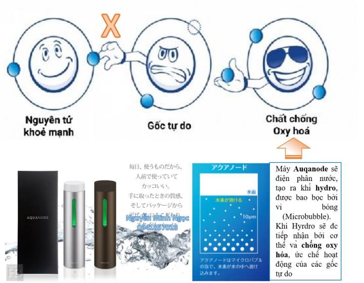 Bi%CC%80nh%20ta%CC%A3o%20khi%CC%81%20Hydrogen%20Aquanode%20cao%20c%C3%A2%CC%81p%20Nh%C3%A2%CC%A3t%20Ba%CC%89n%20-%20Image%204