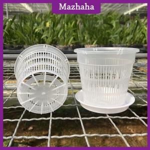 Mazhaha 11 14cm Mesh Pot Root Control Transparent Flowerpot For Orchid Flower Breathable Growth Container Garden Plastic Flower Pot