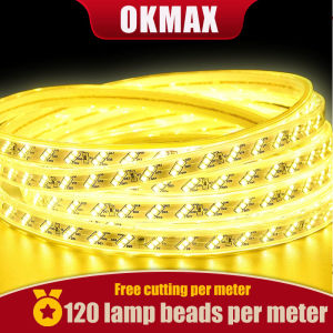 Warm/White Led Strip Lights Indoor Outdoor For Room Waterproof Flexible Home Christmas decoration