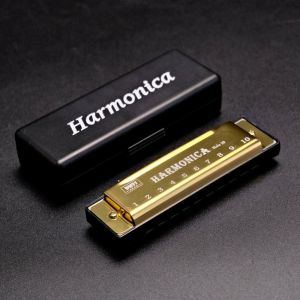 RBRY Key of C 10 Hole Harmonica with Box Metal Diatonic Harmonica Portable Rectangle Beginners Educational Toys Gifts Children