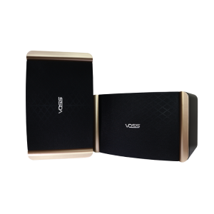 2 pcs VOSS Audio Karaoke Speaker K-610
