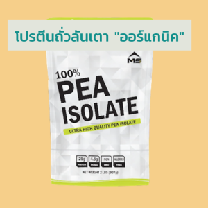 โปรตีนพืช โปรตีนถั่วลันเตา โปรตีนถั่วลันเตาออแกนิก PEA PROTEIN พีโปรตีน plantbased protein