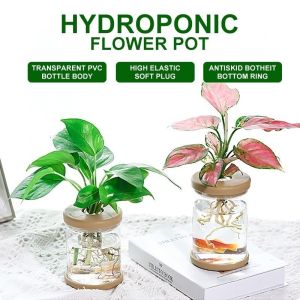 Hydroponic Plant Pots Water Planting Vase Plastic Transparent Stylish Container Aquaponic Planter