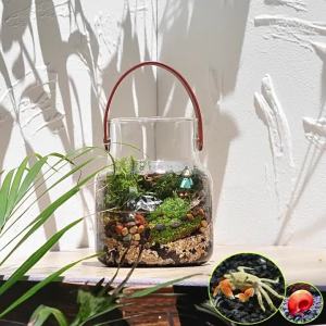 Decorative Flower Vase ins Leather-wrapped glass vase Hydroponic plant bottle Office micro-landscape decorations tabletop vase for fresh flowers dried stems or hydroponic display