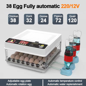 220V/12V Egg Incubator 130 Eggs Dual Power Supply Fully Automatic Egg Incubator Intelligent Digital Hatcher Brooder with Temperature Control and Auto Turning for Hatching Chicken Duck Goose Quail Birds