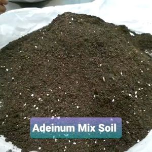 Adenium Mix Soil / 富貴花專用泥