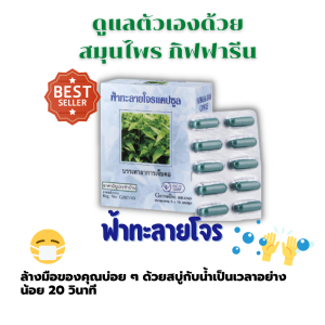 คำแนะนำหลัก ของ ฟ้าทลายโจร กิฟฟารีนของแท้ ฟ้าทะลายแคปซูล ฟ้าทลายโจรแท้ 100% ฟ้าทะลายโจร ฟ้าทะลายโจร ฟ้าทะลายเม็ด ฟ้าทะลายสกัด