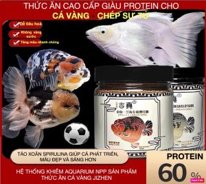 Cám cho chép sử tử DẠNG CHÌM TIGER CLAW/BESSN giúp tiêu hoá tốt đạm cao cá lớn nhanh 50% ĐẠM