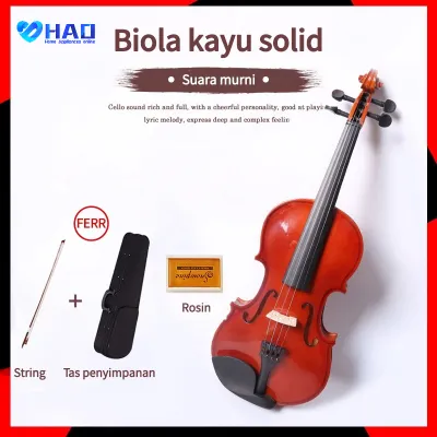 Import Biola Dluxeviolin 4/4 Biola Untuk Dewasa Remaja / alat musik gesek / biola anak / biola remaja