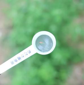 Mini Fishing Net Special Use For All The Baby Fish Easy To Feed