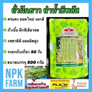ศรแดง ถั่วฝักยาว ลำน้ำชีพลัส (ขนาด 500 กรัม ) หมดอายุ 20/09/69 ถั่วเนื้อ ลอตใหม่ ฝักสีเขียว คุณภาพฝักดี ต้นแข็งแรง รสชาติดี ระยะเก็บเกี่ยว 50 วัน