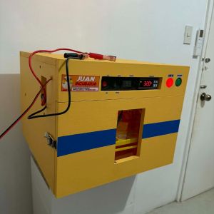Juan Incubator Automatic with Built in Power Supply (56 Setter & 56 Hatcher)