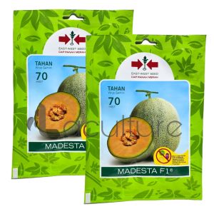 Benih Melon Orange MADESTA F1 Isi 40 Butir Cap Panah Merah