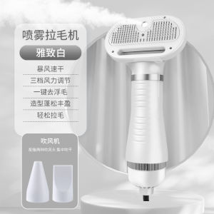 4 ใน 1 เครื่องเป่าสัตว์เลี้ยงแบบพกพา เครื่องเป่าลมสุนัขและหวี (หวีแปรง+ไดร์เป่าขนไฟฟ้า)เครื่องเป่าลมสุนัขเสียงรบกวนต่ำ