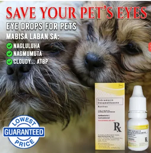 Tobramycin ear drops for 2024 dogs