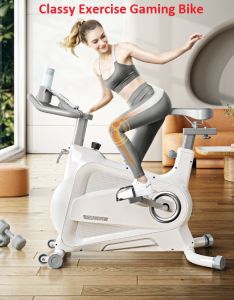 [HARI RAYA SALES!] Classy Professional Dual Resistance (Magnetic & Mechanical) Exercise Bike
