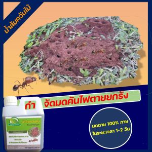 น้ำส้มควันไม้ ผลิตจากธรรมชาติ กำจัดมดคันไฟ ขับไล่มดทุกชนิด ฆ่ามดคันไฟ