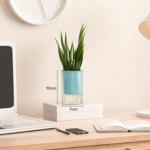 กระถางต้นไม้อวบน้ำ กระถางต้นไม้ 2 ชั้น ไม่ต้องรดน้ำเอง รดน้ำอัตโนมัติ สไตล์นอร์ดิกมินิมอล pot plant พลาสติก