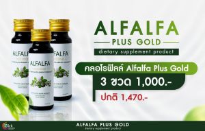 Alfalfa Plus Gold (คลอโรฟิลด์ สกัดจากต้น Alfalfa) ควบคุมน้ำตาล แพ๊ค 3